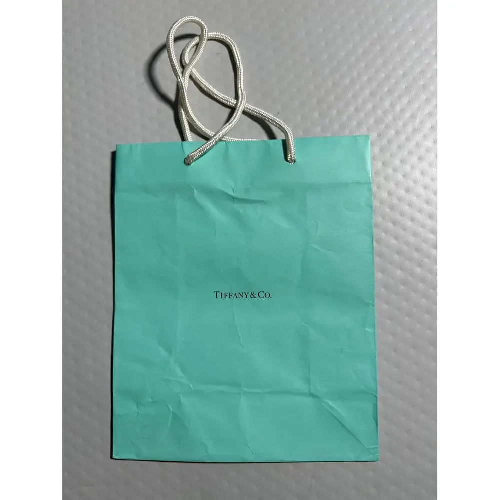 Tiffany & Co. Classic‎ Blue Paper Gift Shopping Bag 10x8 White Rope Handles
